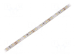 LED tape | white cold | 3528 | 12V | LED/m: 60 | 8mm | IP65 | 4.8W/m