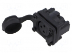 Connector: XLR | socket | female | AXS | 15A | 133V | PIN: 3 | IP65 | angled