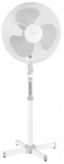 Fan Esperanza Hurricane White
