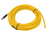 Cable: for sensors/automation | PIN: 8 | M8 female | straight | 5m