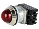 Control lamp | 30mm | NEF30 | -15&divide;30&deg;C | Illumin: LED | &Oslash;30.5mm | IP20