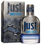 Roberto Cavalli Just Cavalli Him 2013 Perfume EDT 30 ml
