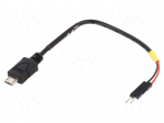 Cable | USB 2.0 | USB B micro plug,1pin pin header x2 | 0.1m | black