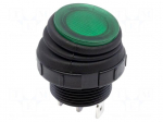 ROCKER | SPST | Pos: 2 | OFF-ON | 16A/250VAC | 16A/30VDC | green | green