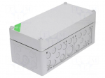 Enclosure: junction box | X: 150mm | Y: 300mm | Z: 132mm | polycarbonate