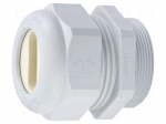 Cable gland | M40 | 1.5 | IP65 | polyamide | grey | Holes no: 1 | 28.5x10mm