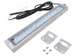 LED lamp | white cold | 24VDC | 1200lm | 6500K | IP66 | 3m | -10&divide;50&deg;C