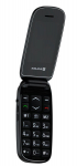 Cell phone Evelatus  Wave DS Black