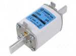 Fuse: fuse | 250A | 800VAC | gS | industrial | NH1