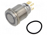 Switch: vandal resistant | Pos: 2 | SPDT | 3A/220VAC | 5A/24VDC | IP65