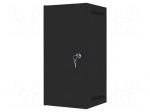Enclosure: rack cabinet | Standard: 10" | 12U | black | Z: 310mm