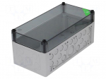 Enclosure: junction box | X: 150mm | Y: 300mm | Z: 132mm | polycarbonate