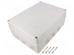 Enclosure: junction box | X: 220mm | Y: 300mm | Z: 120mm | IP65 | grey