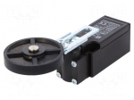 Limit switch | adjustable lever, roller | NO + NC | 5A | max.250VAC