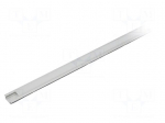 Profiles for LED modules | white | natural | L: 2m | GROOVE10