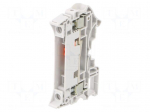 Splice terminal: rail | Entrelec | 300V | for DIN rail mounting