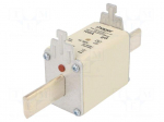 Fuse: fuse | 100A | 500VAC | gG | industrial | NH2