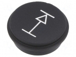 Button | round | &Oslash;21mm | black | 09