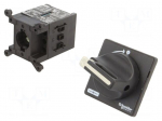 Main emergency switch-disconnector | Poles: 3 | on panel | 20A | IP65