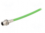 Connector: M12 | socket | female | PIN: 4 | straight | D | 4A | 250V | IP67