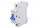 Circuit breaker | 230/400VAC | Inom: 2A | Poles: 1 | Charact: C | 6kA