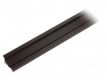 Profiles for LED modules | angular | black | L: 2m | aluminium | 30/60&deg;