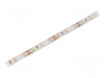 LED tape | white cold | 2835 | 12V | LED/m: 60 | 10mm | IP65 | 12W/m