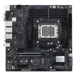 Asus PRO WS W680M-ACE SE emaplaat