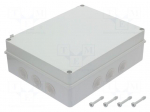 Enclosure: junction box | X: 300mm | Y: 380mm | Z: 120mm | IP65 | grey