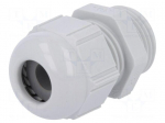 Cable gland | PG11 | IP68 | Mat: polyamide | light grey