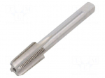 Tap | NPT 1/8" | L: 65mm | Holder: machine | 5.5mm | Thread: inch,NPT