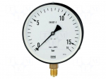 Manometer | 0&divide;10bar | Class: 1.6 | 100mm | Temp: -25&divide;60&deg;C | IP50 | steel
