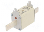 Fuse: fuse | 125A | 500VAC | gG | industrial | NH2