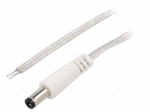 Cable | 2x0.5mm2 | wires,DC 5,5/2,1 plug | straight | transparent | 3m