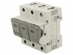 Fuse disconnector | D02 | for DIN rail mounting | 25A | 400V | Poles: 3