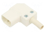 Connector: AC supply | plug | male | power supply | 10A | 250VAC | right