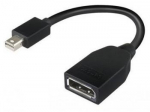 LENOVO MINI-DP TO DP ADAPTER