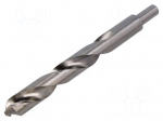 Drill bit | for metal | &Oslash;: 20mm | L: 205mm | high speed steel | 13mm