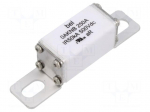 Fuse: fuse | 250A | 500VDC | ceramic
