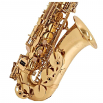 V-TONE AS 100 Alto Saxophone with Case Set