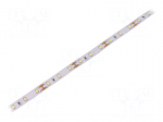 LED tape | white cold | 2835 | 12V | LED/m: 60 | 10mm | IP20 | 12W/m