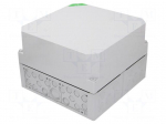 Enclosure: junction box | X: 300mm | Y: 300mm | Z: 209mm | polycarbonate