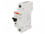 Circuit breaker | 230VAC | Inom: 20A | Poles: 1 | DIN | Charact: B | 6kA