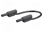 Test lead | 10A | banana plug 2mm,both sides | Urated: 600V | black