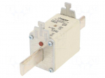 Fuse: fuse | industrial | 160A | 500VAC | gG | NH2
