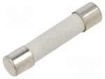 Fuse: fuse | 10A | 250VAC | 125VDC | ultra rapid | ceramic,cylindrical