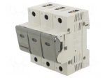 Fuse disconnector | D02 | for DIN rail mounting | 63A | 440V | Poles: 3