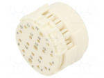 Connector: M23 | contact insert | PIN: 19(3+16) | male | crimped | 100V