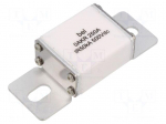 Fuse: fuse | ceramic | 250A | 500VDC