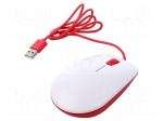 Accessories: optical mouse | optical mouse | USB A